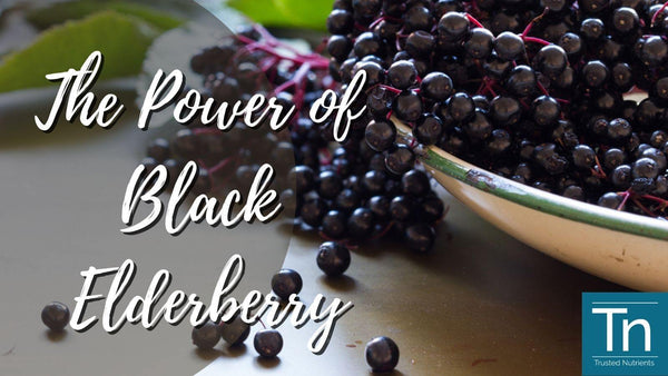The Power of Black Elderberry
