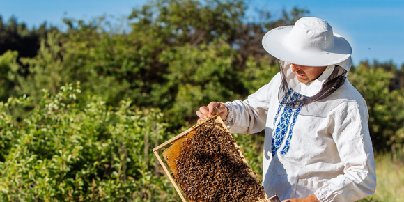 Health Benefits of Royal Jelly for Fertility