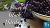 The Power of Black Elderberry Benefits and Uses